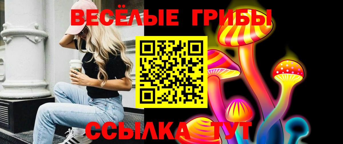 Псилоцибиновые грибы MAGIC MUSHROOMS Углич
