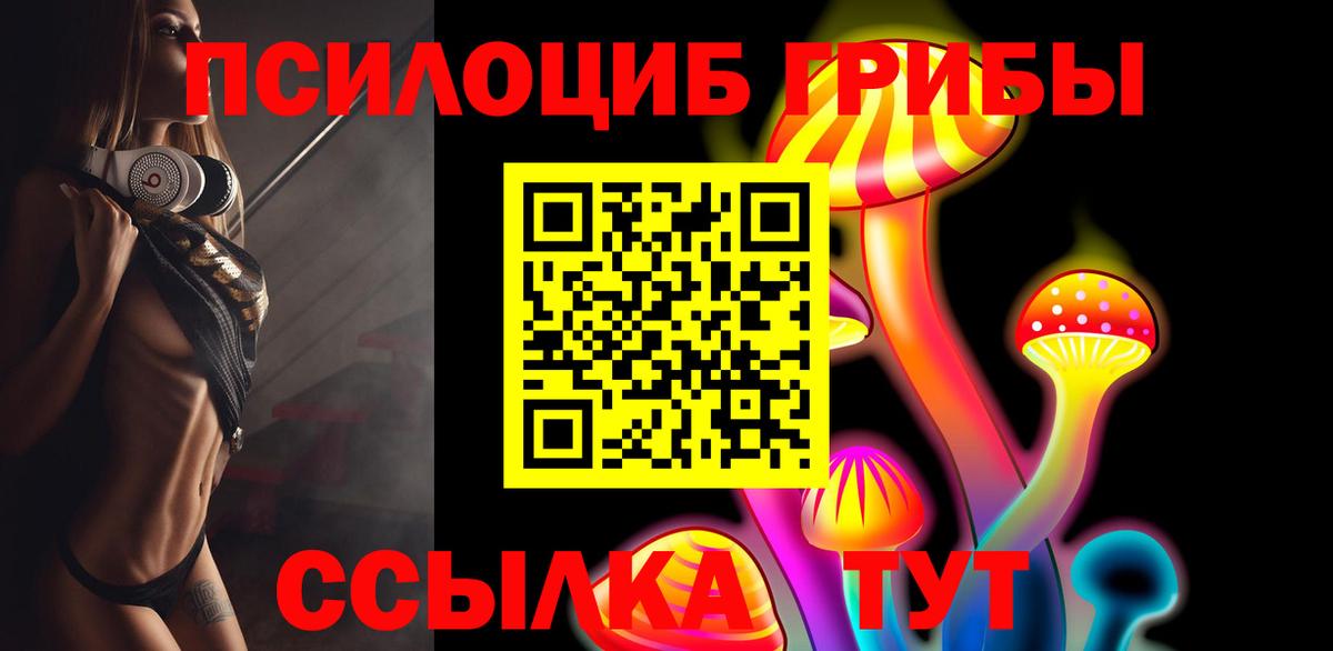 Углич  Галлюциногенные грибы MAGIC MUSHROOMS  где найти   Вход с VPN 